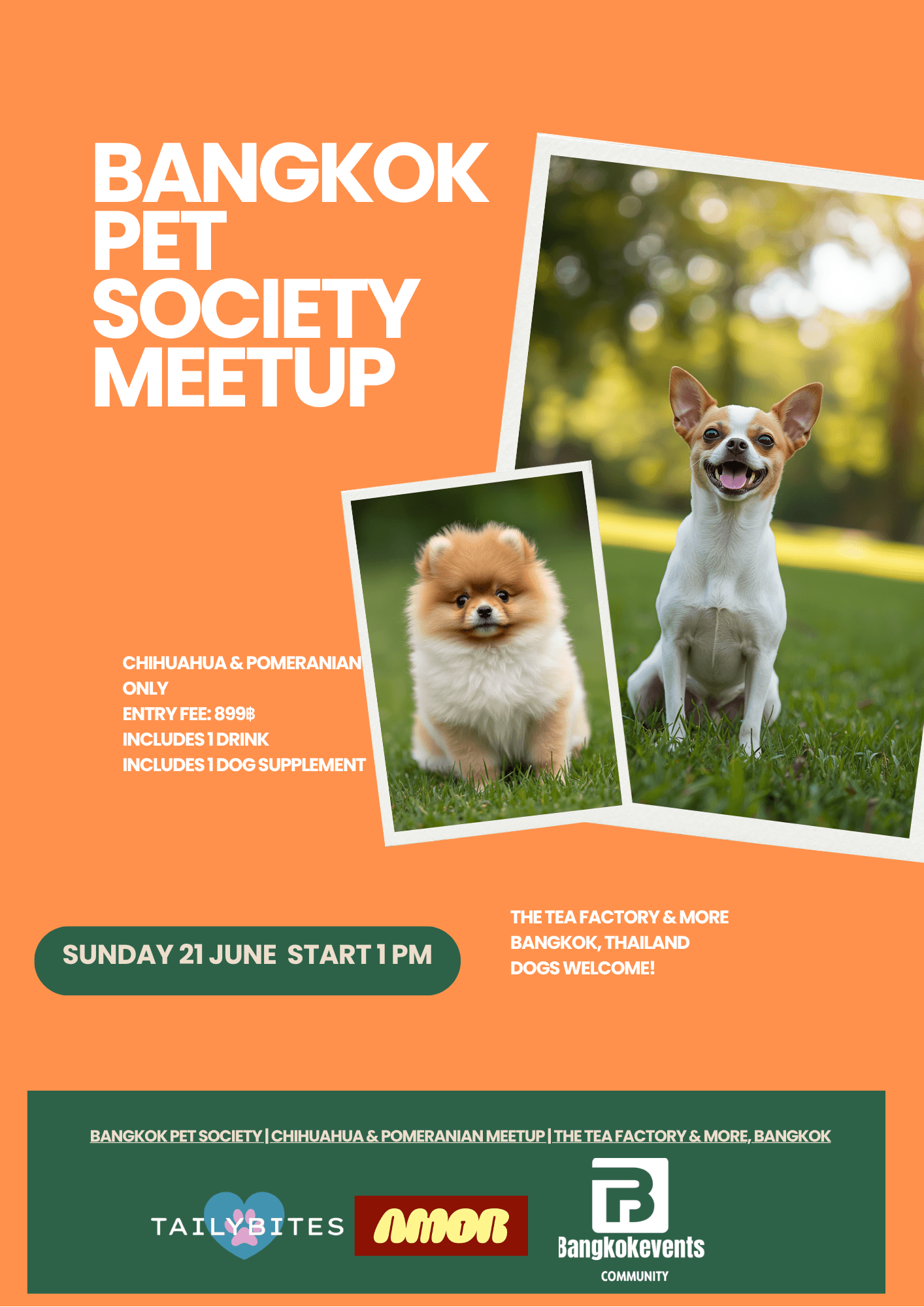 Pets friendly meetup